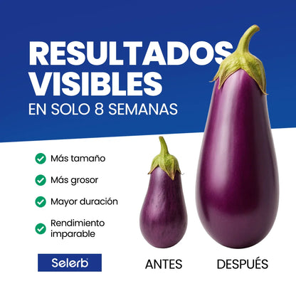 Selerb NAD+ 60 cápsulas | Recupera tu potencia y energía en semanas